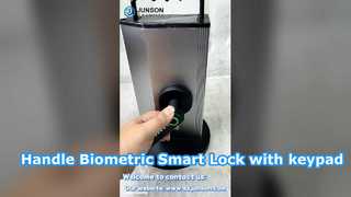 Kunci Cerdas Biometrik Pegangan Dalam Ruangan